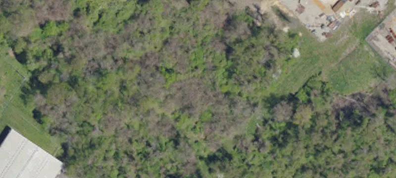 LR26099-MT Braddock