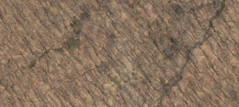 509 Game Lands Rd