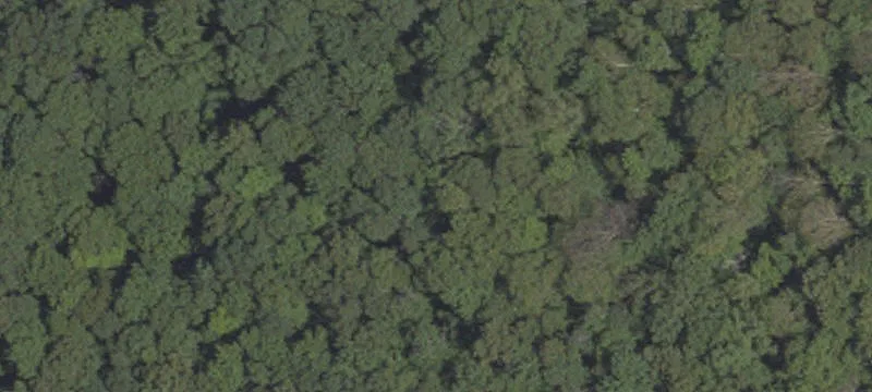 Ross Mtn Park Rd