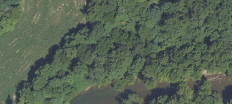 922 Griffith Rd