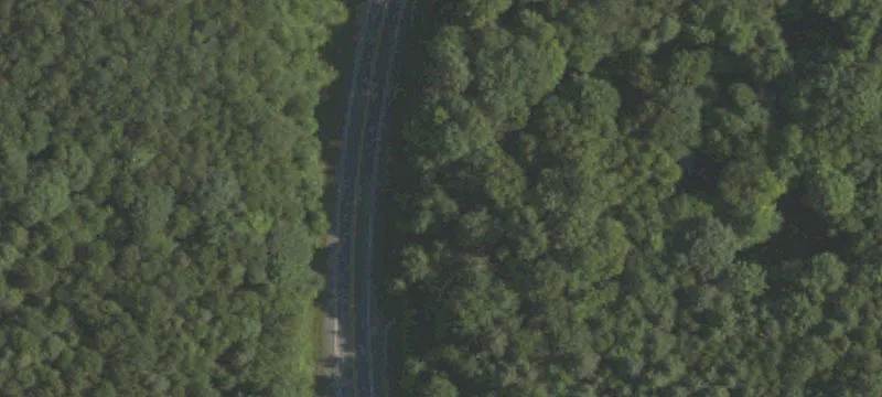 Reed Hall Rd
