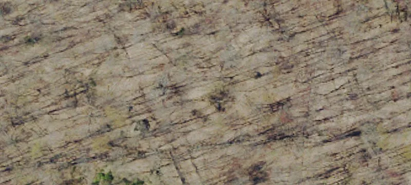Waymart, PA 18472