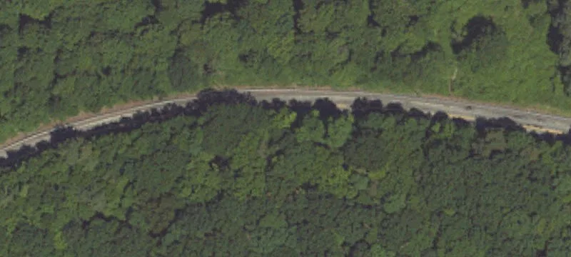 Walden Dr