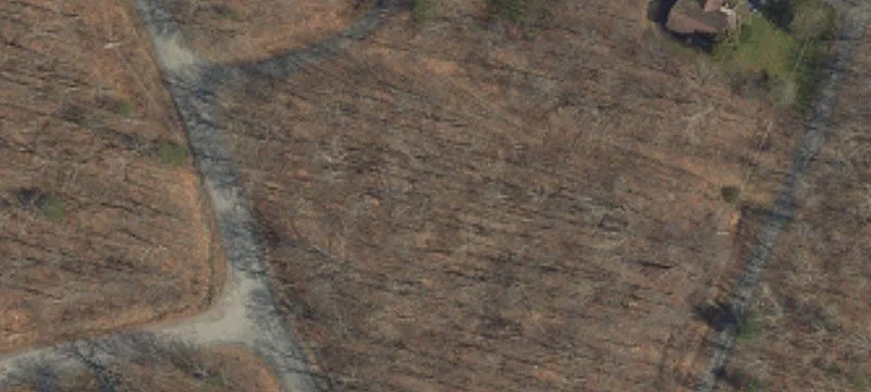143 Panda Rd