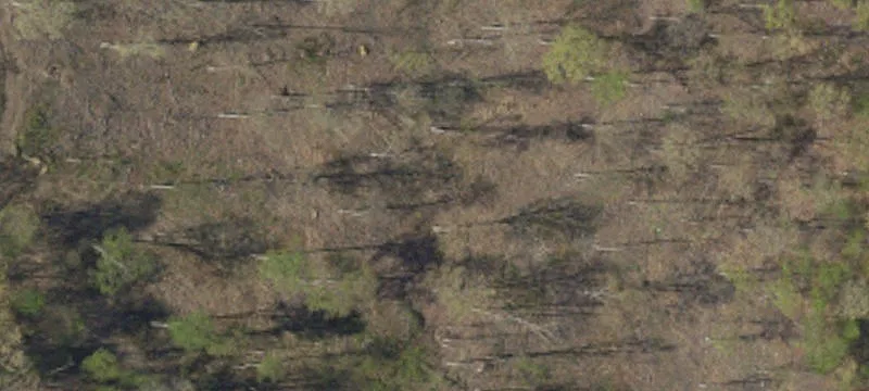 Petersburg, PA 16669