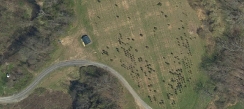 45010th Cherry Vly Rd