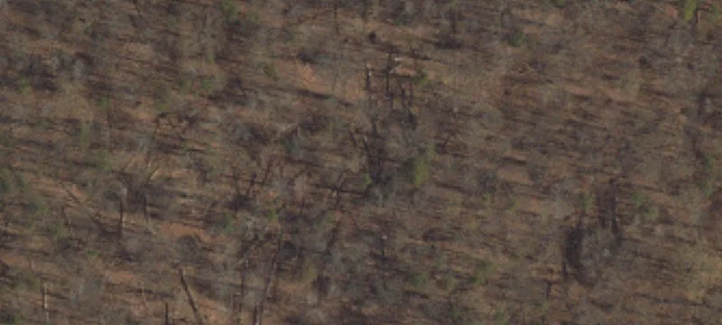 159 Pocmont Loop