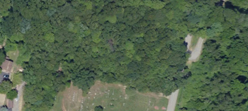 Burns Rd