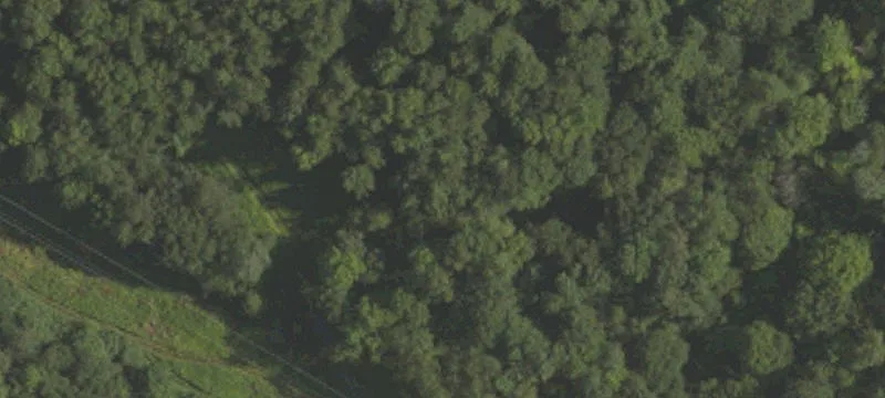 Ebensburg, PA 15931