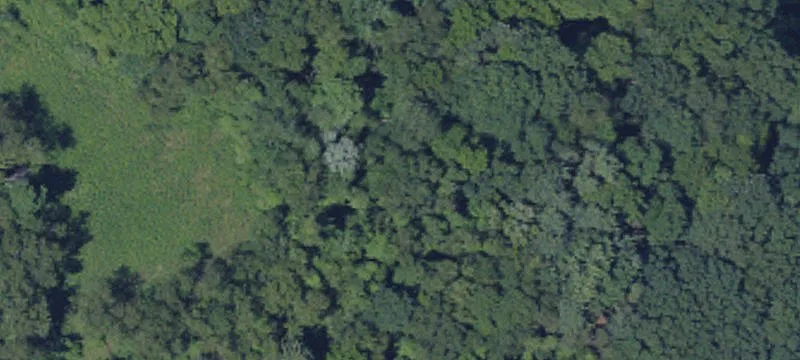 Seneca School Rd
