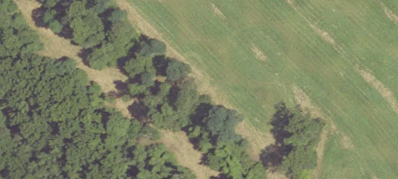 Pond Rd