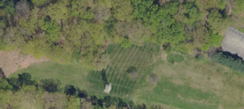 Lago Links Golf