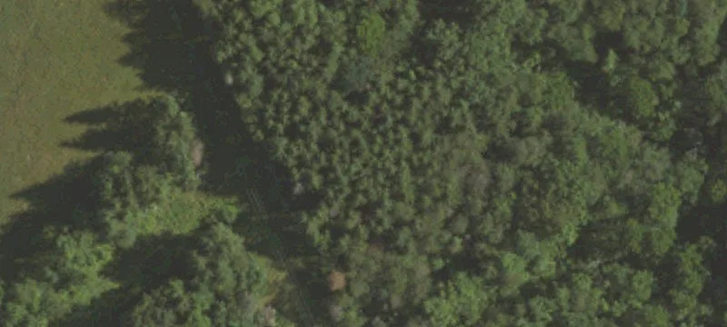 5085 Schoolhouse Rd