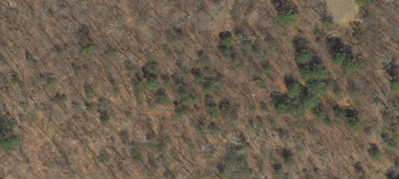 2282 Rte 314