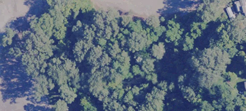  Fort