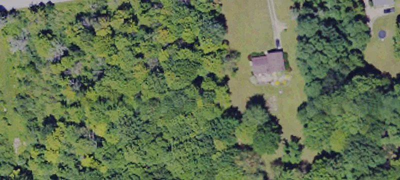 47th Wallace Farm 80th Riley