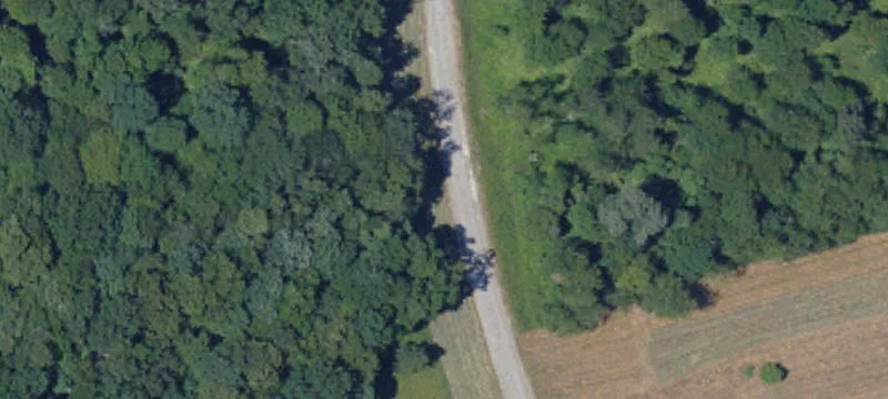 300 Rutledge Ln