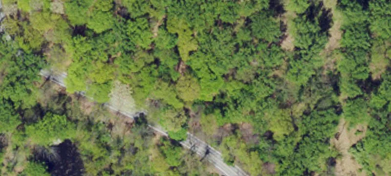4190 State Rd