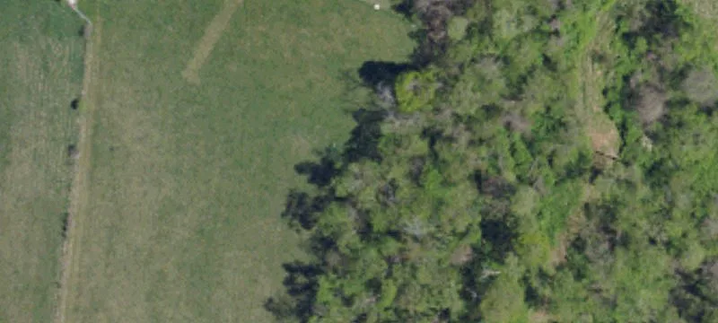 981 Old Brick Rd