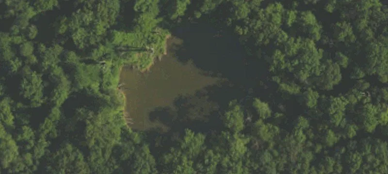 251 Lk Rd