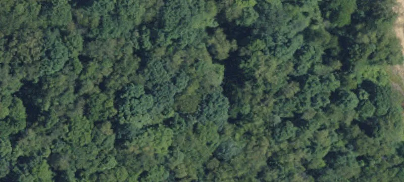 Parker, PA 16049