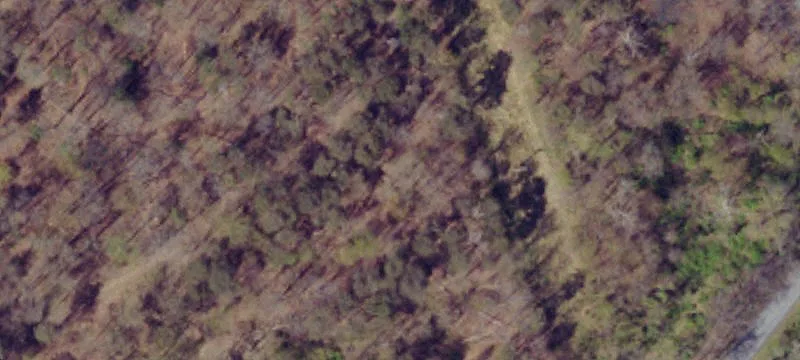 Half Moon Rd