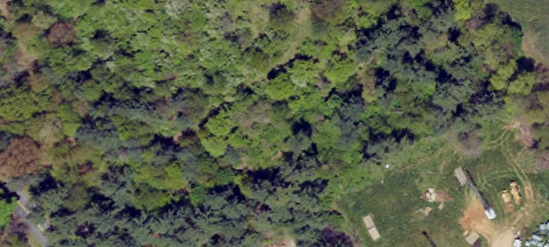 8116 Intersection Rd
