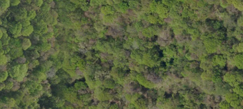 Parnham Tract