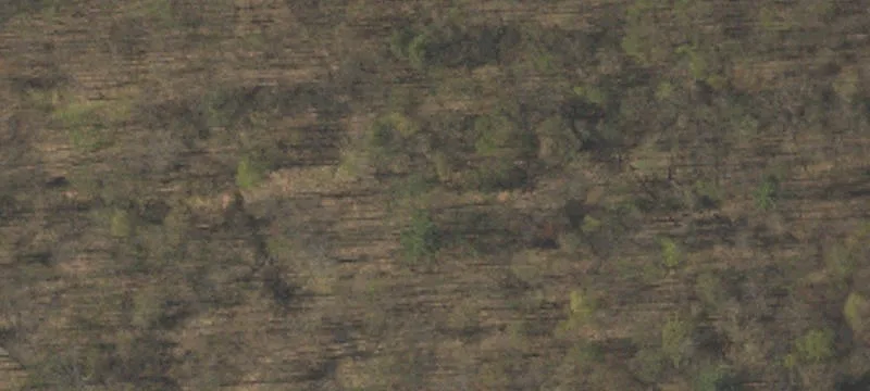 Stonehedge