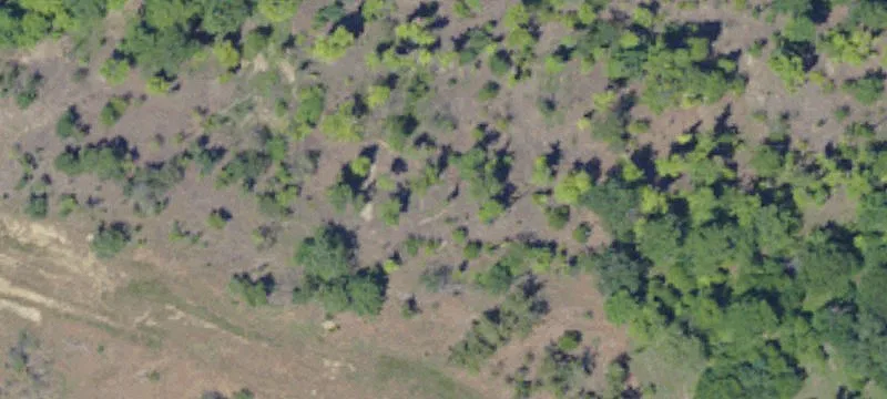 4 Undeveloped Unused I I