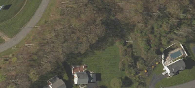 Conyngham Ave