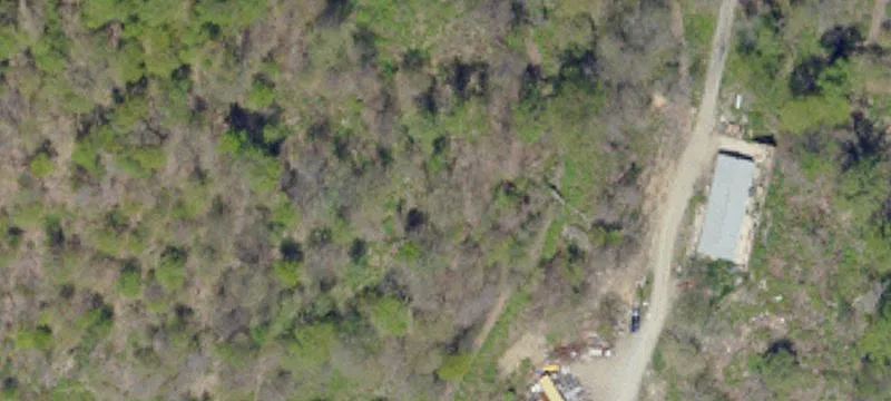 319 Larimer Rd