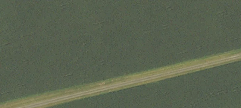 Timber Rd