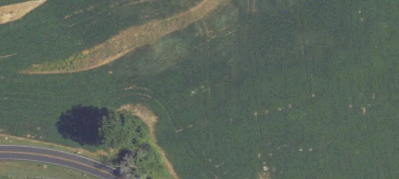 Ns Dairy Rd