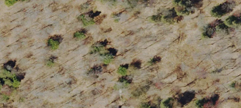 Gridline Rd