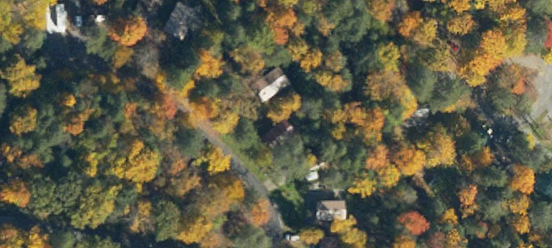 113 Campers Loop