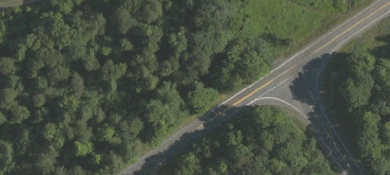 Snake Rd