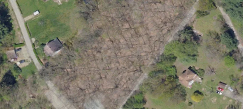 382 Steele Rd