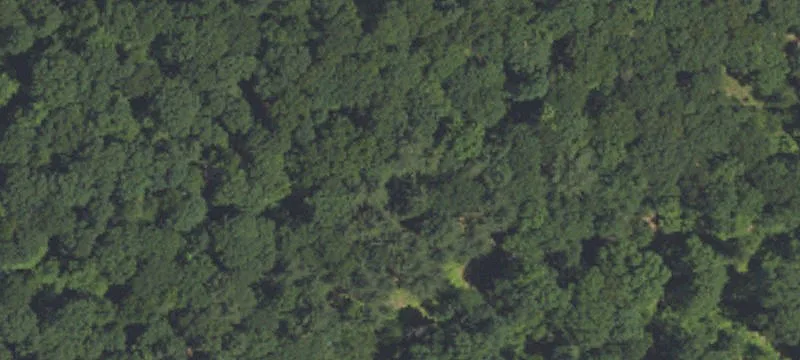 Rte 239