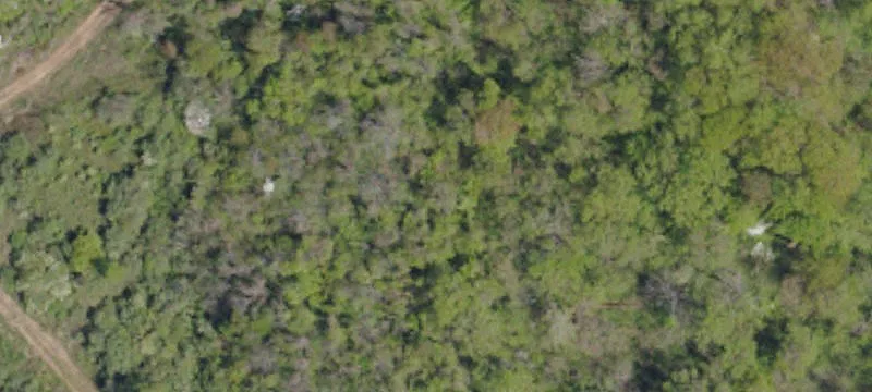 SR3009-NR High House