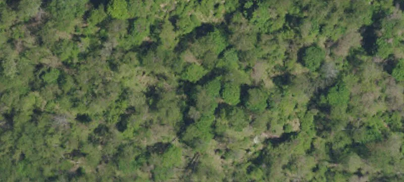 Elizabeth Hanna Tract