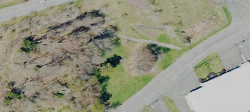 Old Willow Ave