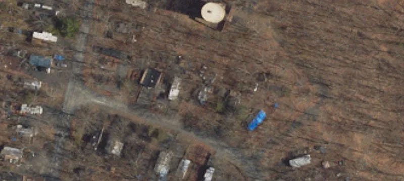 123 Owl Way