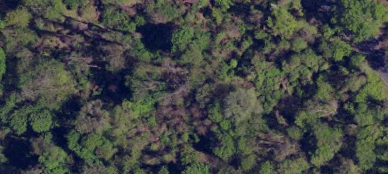 12th St