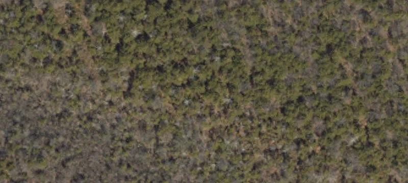 Woodland Dr
