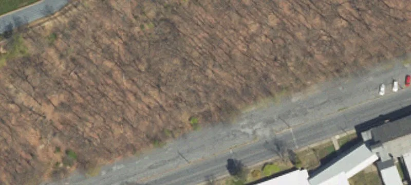 Applegate Ave