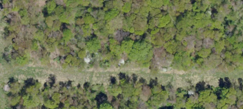 Patterson Rd