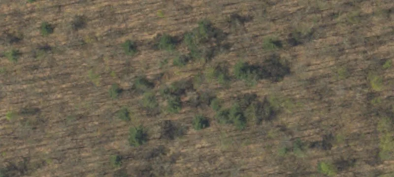 Trojan Rd