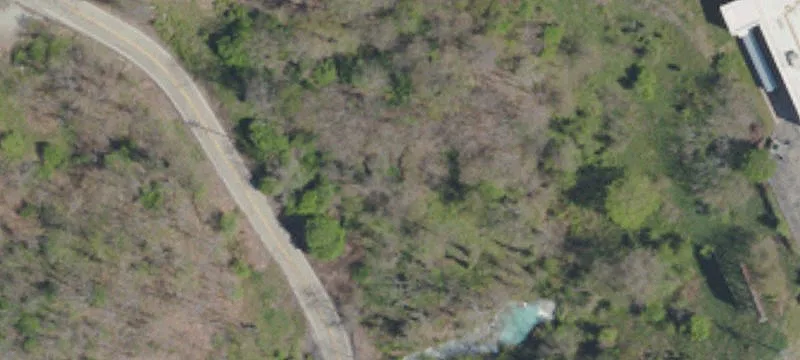 Thompson Run Rd