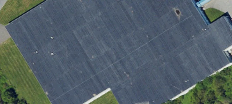 203 Elmwood Ave